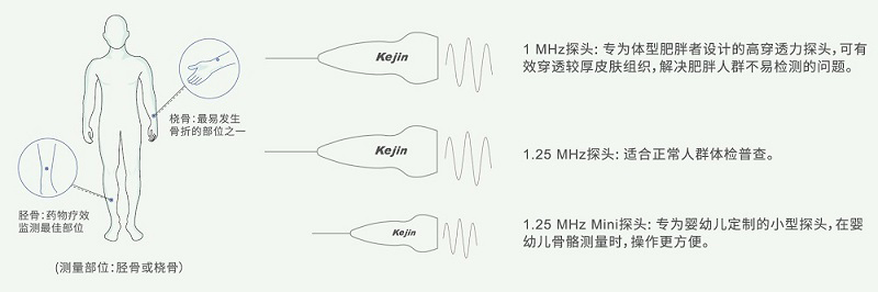 骨密度仪KJ7000A+三探头